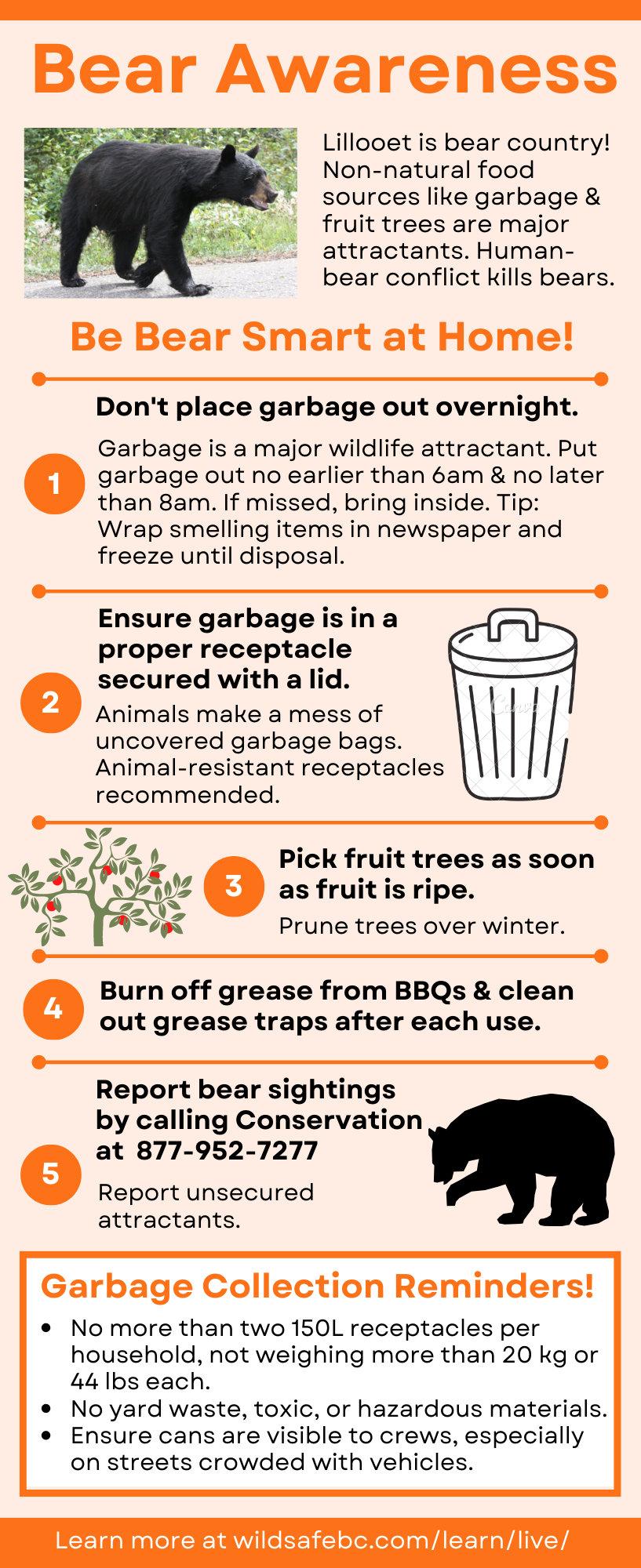 October-Feature-Bear-Aware-Garbage-BRLN.png