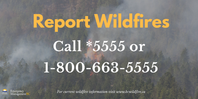 Report-Wildfires.png